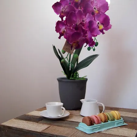 Centricos Barrio Del Carmen Valensiya