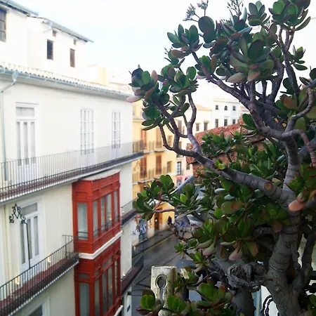 Centricos Barrio Del Carmen Daire