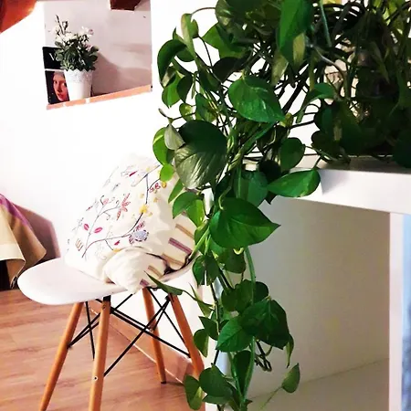 Daire Centricos Barrio Del Carmen *