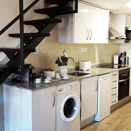 Daire Centricos Barrio Del Carmen *